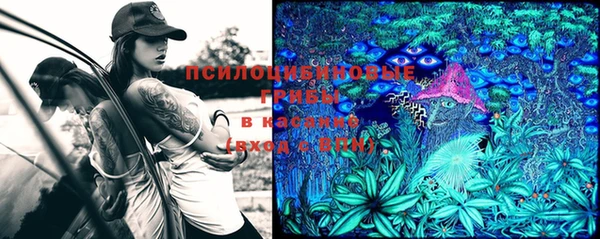круглые Дмитриев