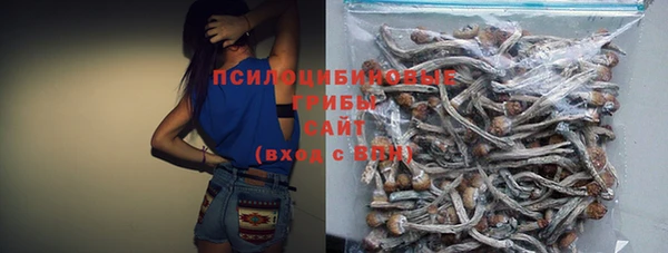 круглые Дмитриев