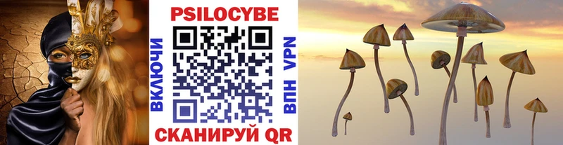 купить закладку  Мурманск  Галлюциногенные грибы Cubensis 